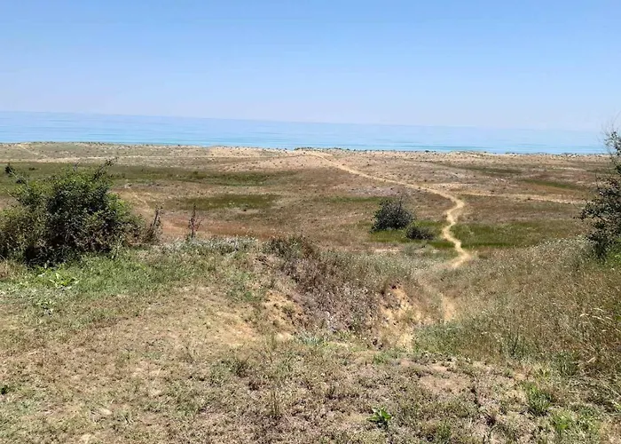 Бунгала,, Металик,, Шкорпиловци